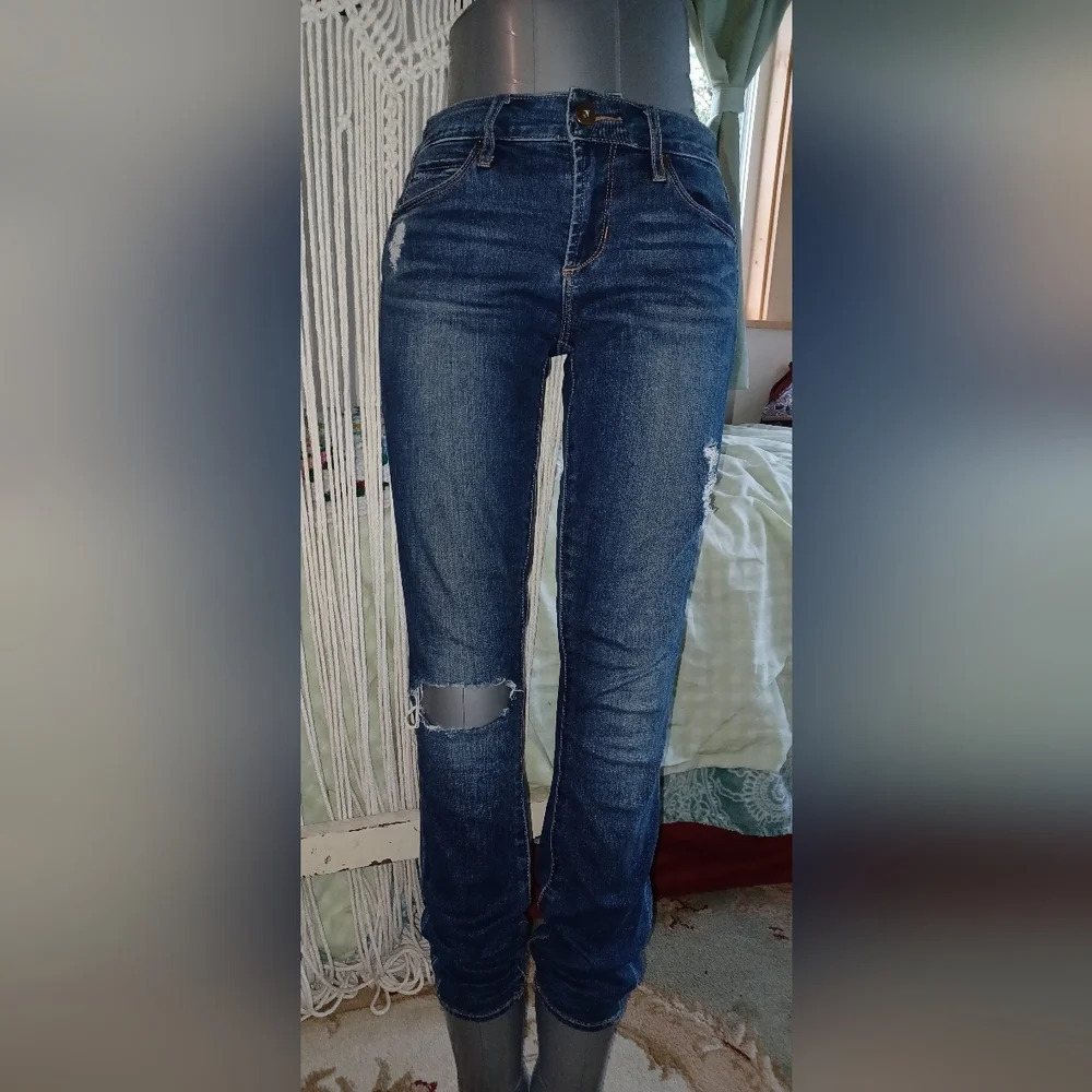 Articles of Society Distressed Blue Denim Skinny Jeans